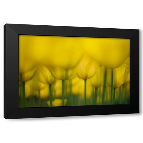 Yellow One Color Black Modern Wood Framed Art Print by Suzuki, Takashi