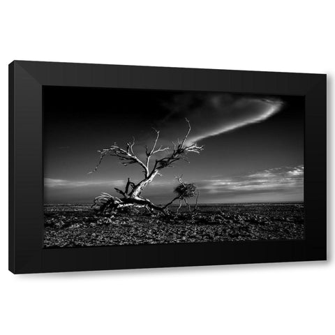 Salton Sea Sculpture Black Modern Wood Framed Art Print by Darby, Rob