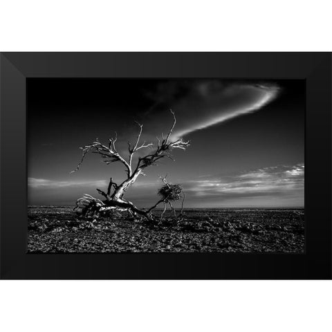 Salton Sea Sculpture Black Modern Wood Framed Art Print by Darby, Rob