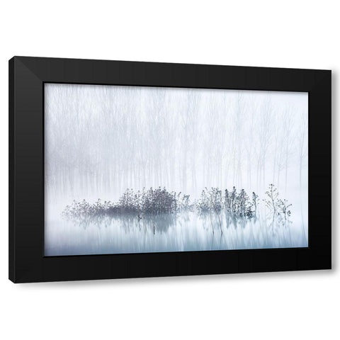 Cold A Foggy Morning In The Swamp Black Modern Wood Framed Art Print by Frutos, David