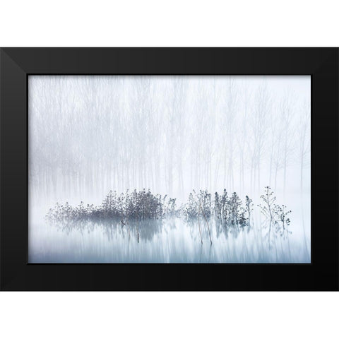 Cold A Foggy Morning In The Swamp Black Modern Wood Framed Art Print by Frutos, David