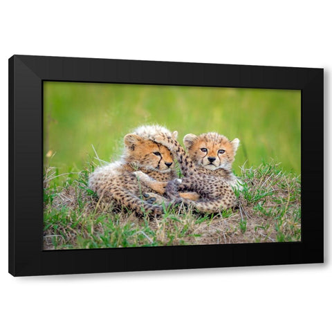 Promising Black Modern Wood Framed Art Print by Roshkumar