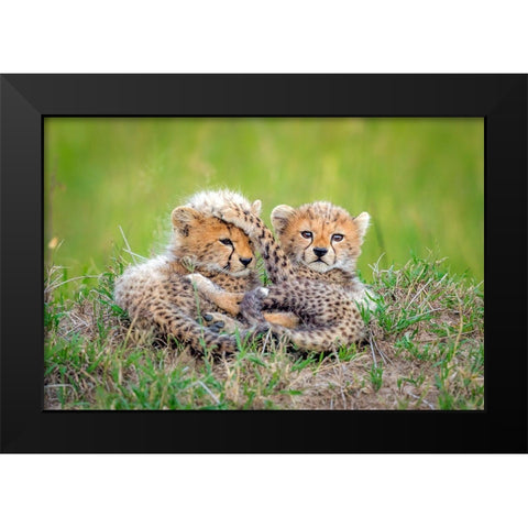 Promising Black Modern Wood Framed Art Print by Roshkumar