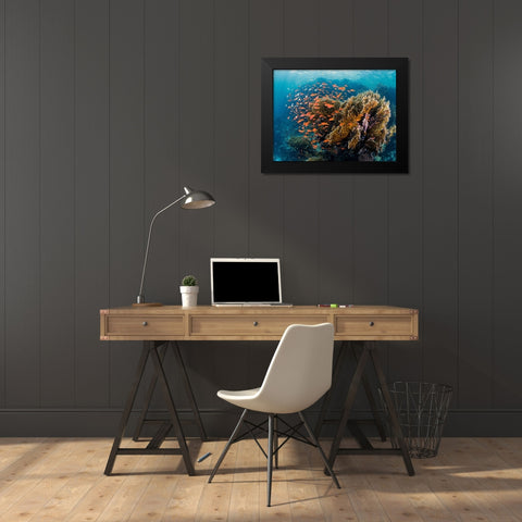 Reefscape Black Modern Wood Framed Art Print by Ben Tov, Ilan