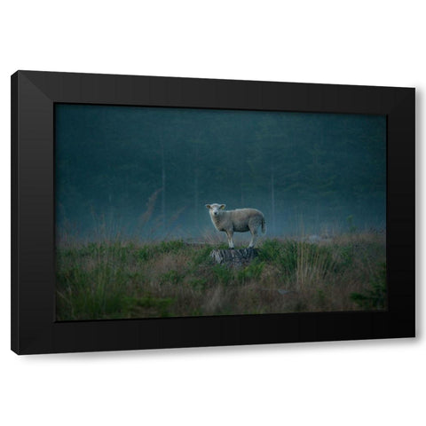 Moody Sheep Black Modern Wood Framed Art Print by Lindsten, Christian