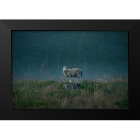 Moody Sheep Black Modern Wood Framed Art Print by Lindsten, Christian