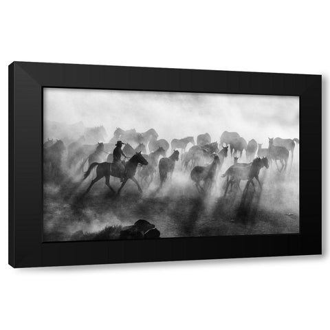 Wild Horses Black Modern Wood Framed Art Print by Bedir, Mehmet