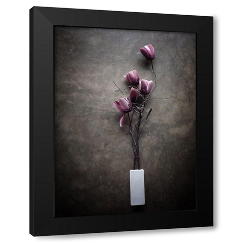 The Purple Tulip Black Modern Wood Framed Art Print with Double Matting by Lagaa, Kahar