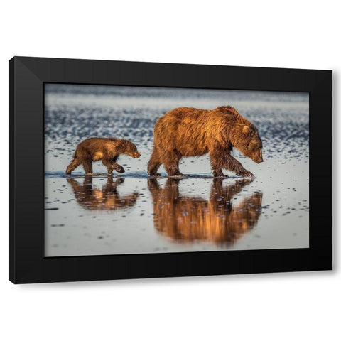 Beauty And The Beast Black Modern Wood Framed Art Print by C. Sink, Jeffrey