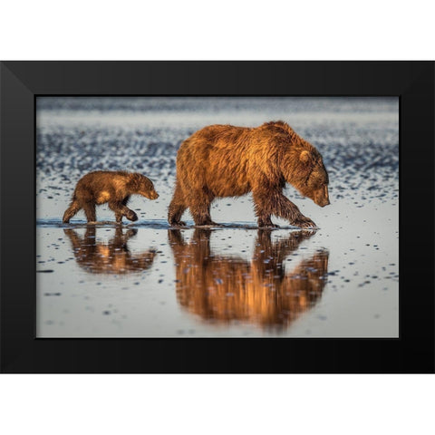 Beauty And The Beast Black Modern Wood Framed Art Print by C. Sink, Jeffrey