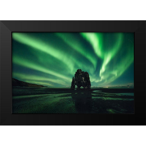 Rhino Black Modern Wood Framed Art Print by Martin Castan, David