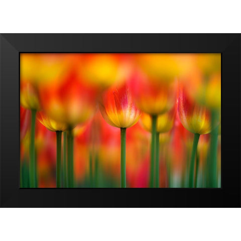 Side By Side Black Modern Wood Framed Art Print by Suzuki, Takashi