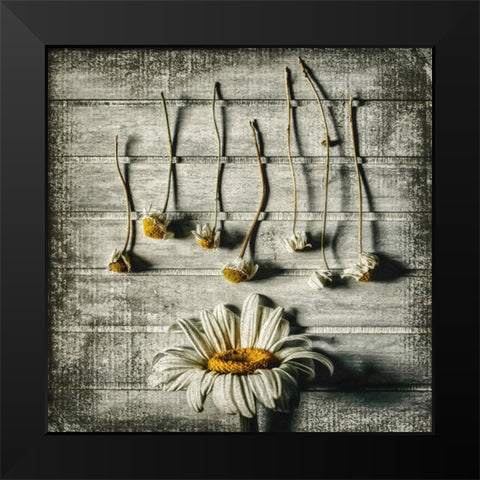 Survival Black Modern Wood Framed Art Print by Petkova, Evelina