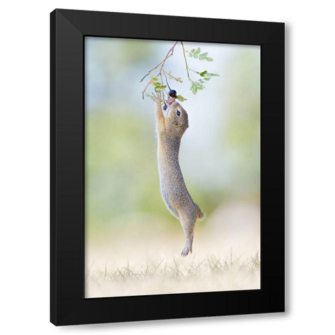Stretch Jump Black Modern Wood Framed Art Print with Double Matting by Spranz, Henrik