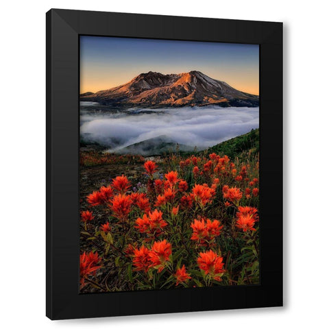 Blooming Black Modern Wood Framed Art Print with Double Matting by Jacobs, Lydia