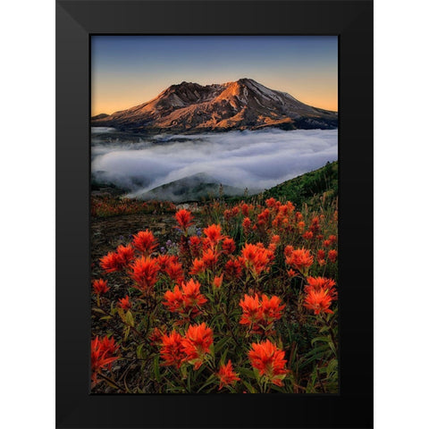 Blooming Black Modern Wood Framed Art Print by Jacobs, Lydia