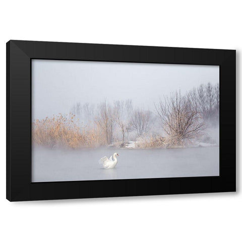 Untitled Black Modern Wood Framed Art Print with Double Matting by Uu