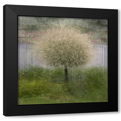 In Front Of The Fence Black Modern Wood Framed Art Print with Double Matting by Holmstrom, Katarina