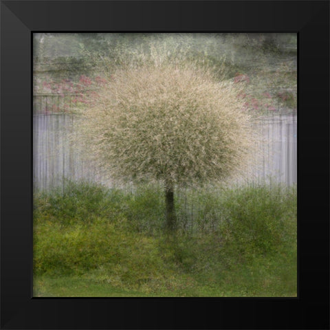 In Front Of The Fence Black Modern Wood Framed Art Print by Holmstrom, Katarina