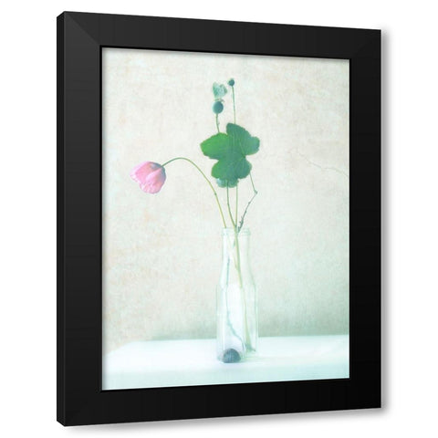 The Pink Flower Black Modern Wood Framed Art Print with Double Matting by Devos, Delphine