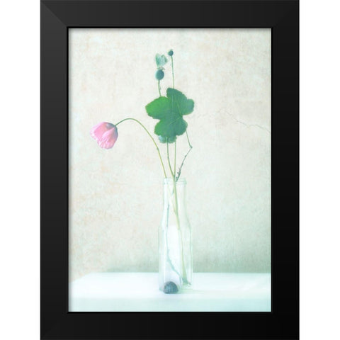 The Pink Flower Black Modern Wood Framed Art Print by Devos, Delphine