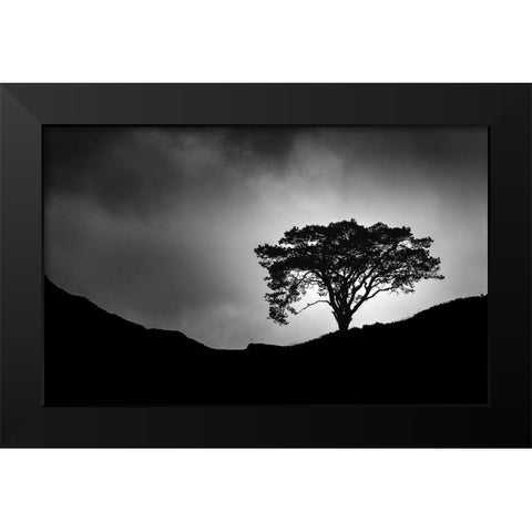 Lone Tree Black Modern Wood Framed Art Print by Meermann, Christian