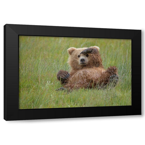 Whos There ? Black Modern Wood Framed Art Print with Double Matting by Doyle, Renee