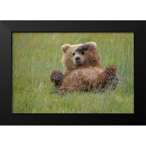 Whos There ? Black Modern Wood Framed Art Print by Doyle, Renee