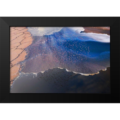 The Flower Black Modern Wood Framed Art Print by Chang, Phillip