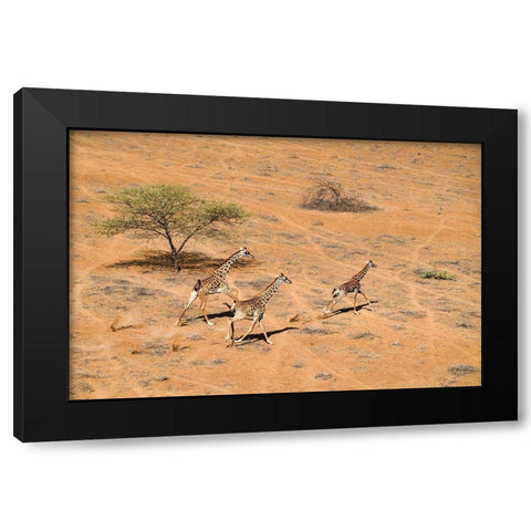Family Paradise Black Modern Wood Framed Art Print with Double Matting by Fan, John