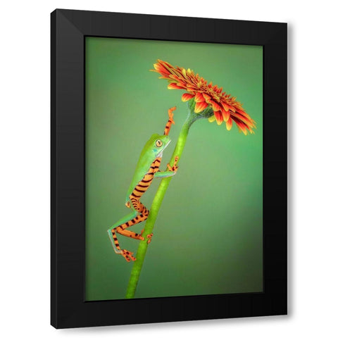 The Climber Black Modern Wood Framed Art Print by Doyle, Renee