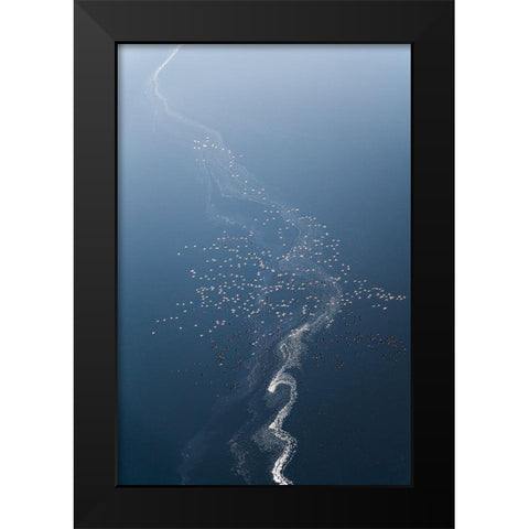 Tree Of Flamoingos Black Modern Wood Framed Art Print by Fan, John