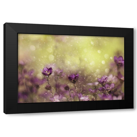 Purple Dream Black Modern Wood Framed Art Print with Double Matting by Devos, Delphine