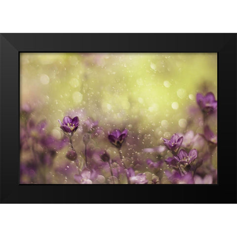 Purple Dream Black Modern Wood Framed Art Print by Devos, Delphine
