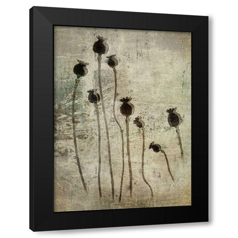 Poppy Seedlings Black Modern Wood Framed Art Print with Double Matting by Talen, Nel