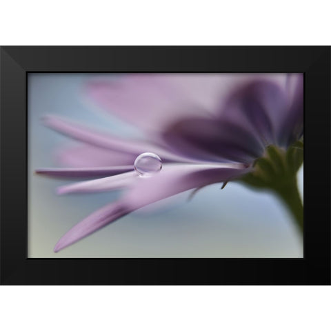The Peaceful Drop Black Modern Wood Framed Art Print by Westum, Heidi