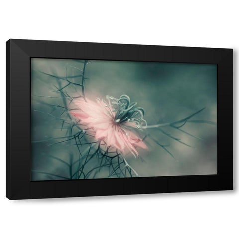 The Virgin Black Modern Wood Framed Art Print by Westum, Heidi
