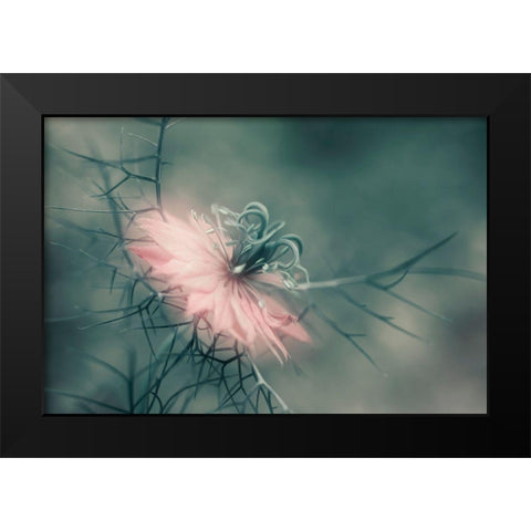 The Virgin Black Modern Wood Framed Art Print by Westum, Heidi
