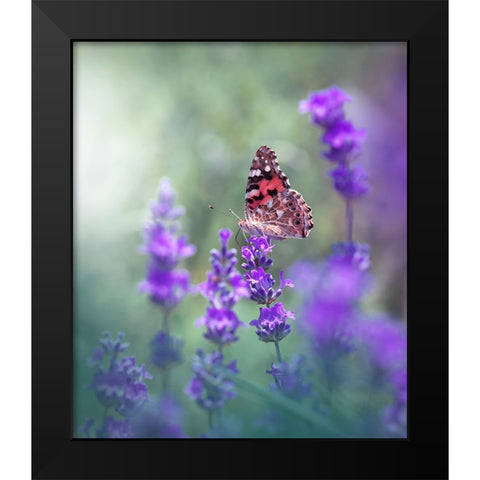 Lavender Queen... Black Modern Wood Framed Art Print by Nan, Juliana
