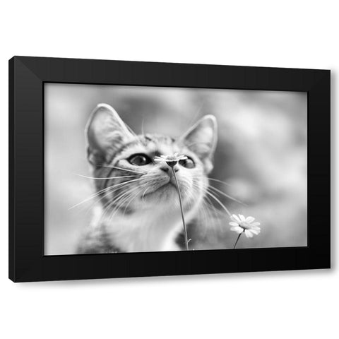 Curious Black Modern Wood Framed Art Print with Double Matting by Delrue, Mirjam