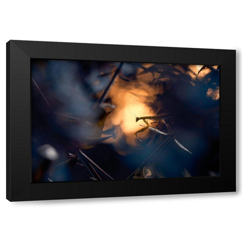 Wormhole Distorsion Black Modern Wood Framed Art Print by Bravin, Fabien