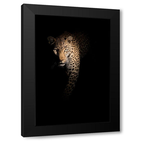 Out Of The Darkness Black Modern Wood Framed Art Print with Double Matting by Guijt, Richard