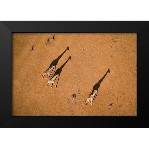 Walking Under Sunset Black Modern Wood Framed Art Print by Fan, John
