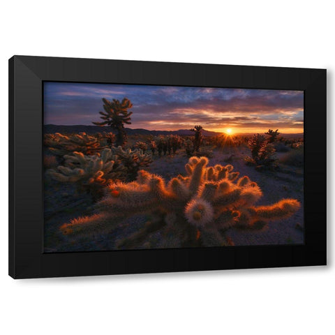 Cholla Garden Black Modern Wood Framed Art Print by Cia, Inigo