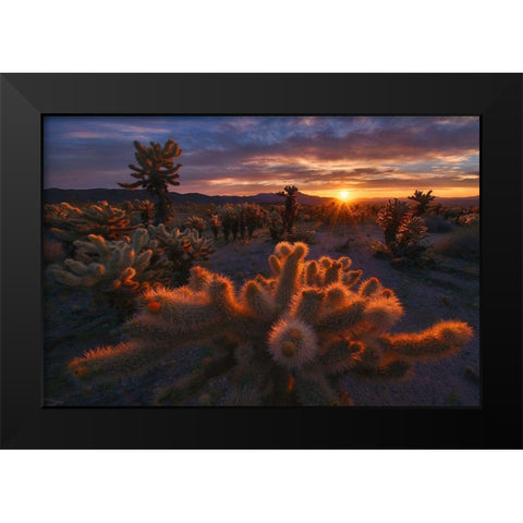 Cholla Garden Black Modern Wood Framed Art Print by Cia, Inigo