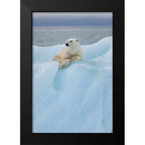 Relaxed Polar Bear Black Modern Wood Framed Art Print by Gil Raga, Joan