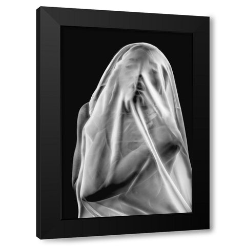Life Behind The Veil Black Modern Wood Framed Art Print by Dixon, Colin