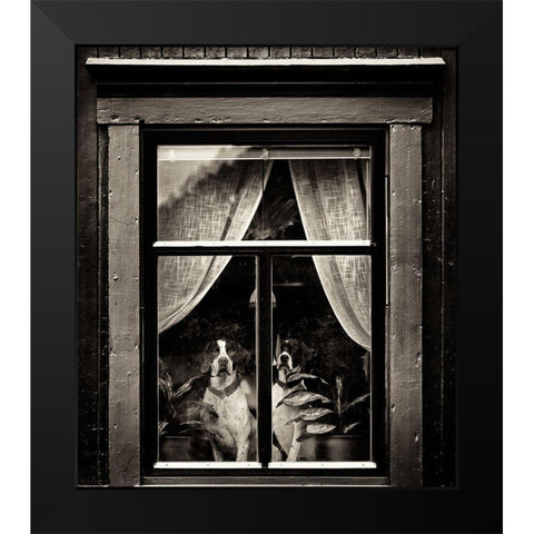 Dogs Black Modern Wood Framed Art Print by Oncete, Julien