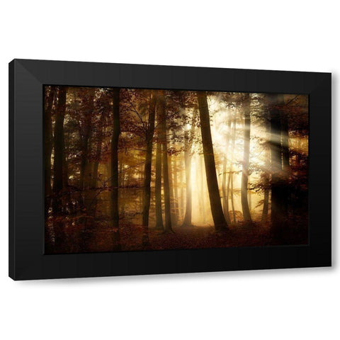 A New Day Black Modern Wood Framed Art Print by Maier, Norbert