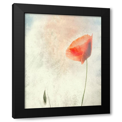 We Should Not Sleep... Black Modern Wood Framed Art Print by Claes, Gilbert